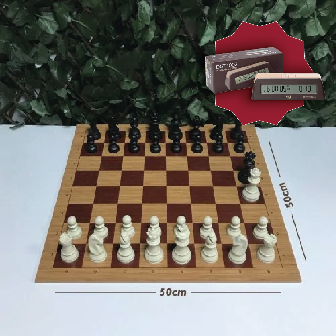 Başlangıç Satranç Seti - 4