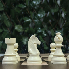 Başlangıç Satranç Seti - 7