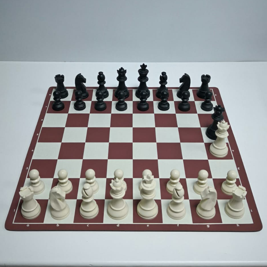 10'lu Ekonomik Büyük Boy Satranç Takımı