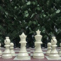 Profesyonel Satranç Takımı (95mm - Çift Vezirli - Floklu)