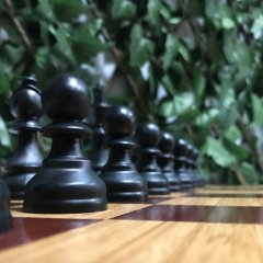 Profesyonel Satranç Taşları (95mm) - MDF Zemin