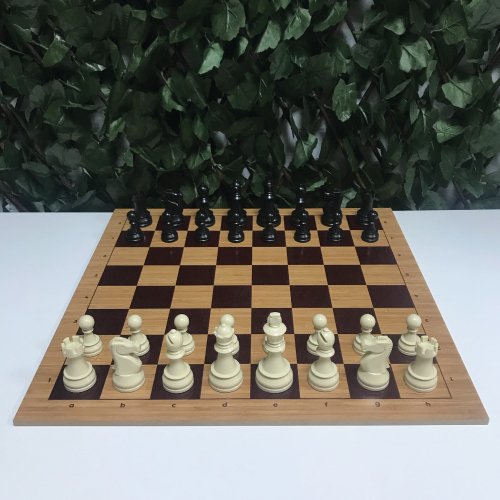 DGT Satranç Taşları (95mm) - MDF Zemin