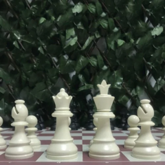 Başlangıç Satranç Seti - 1