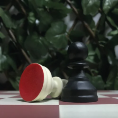 Başlangıç Satranç Seti - 1