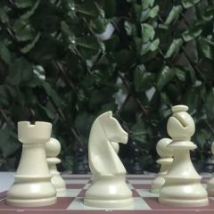 Başlangıç Satranç Seti - 2