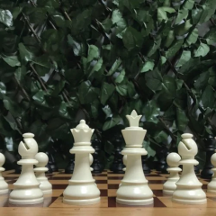 Başlangıç Satranç Seti - 4