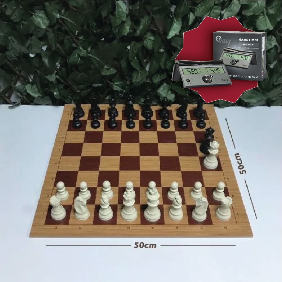 Başlangıç Satranç Seti - 5