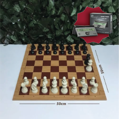 Başlangıç Satranç Seti - 5