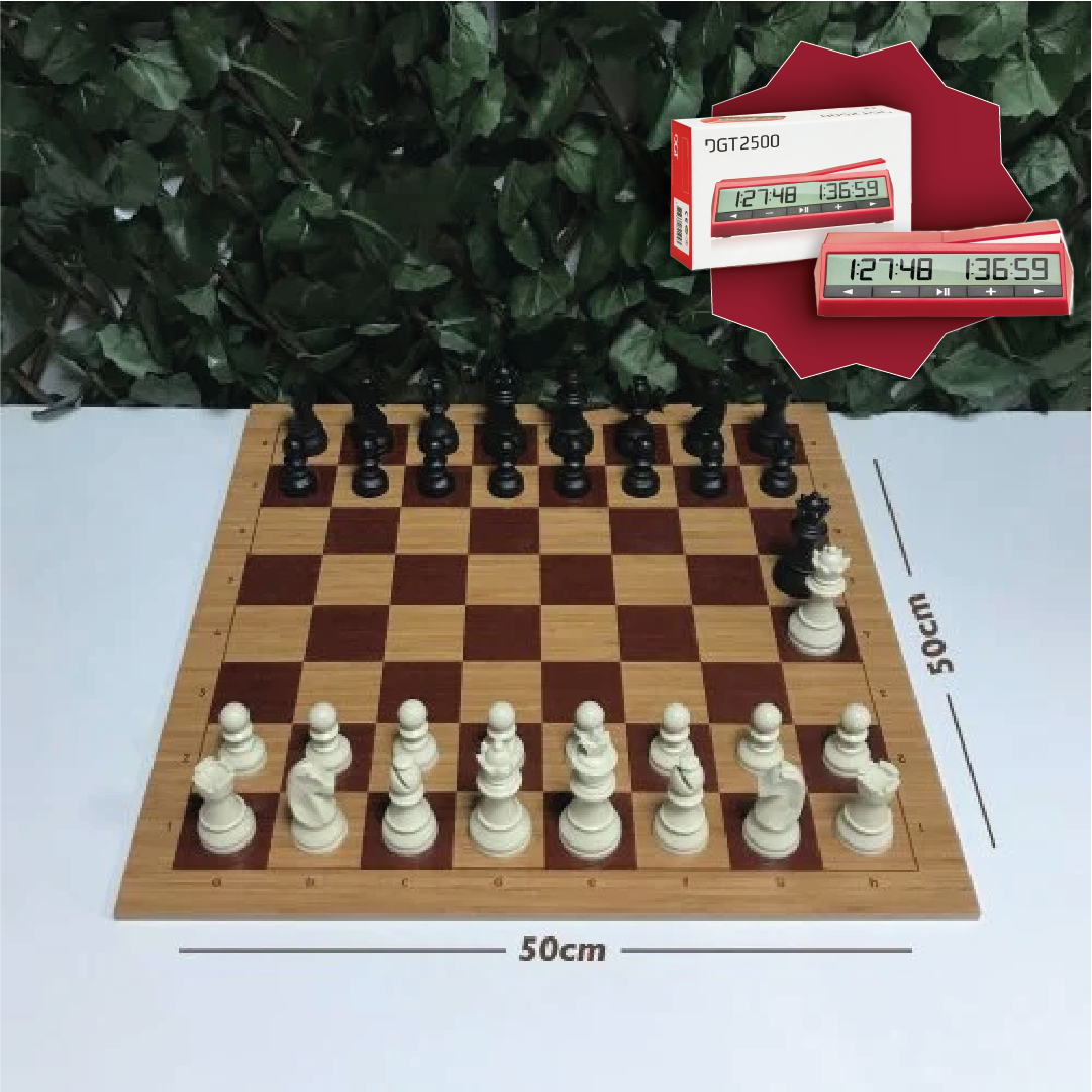 Başlangıç Satranç Seti - 6