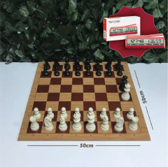 Başlangıç Satranç Seti - 6