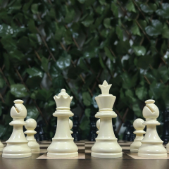 Başlangıç Satranç Seti - 8