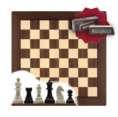 Başlangıç Satranç Seti - 7