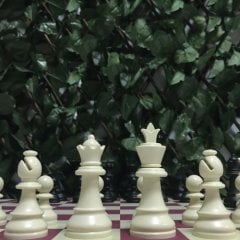 Profesyonel Satranç Takımı (95mm - 700gr - Çift Vezirli)