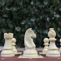 Profesyonel Satranç Takımı (85mm - 400gr)