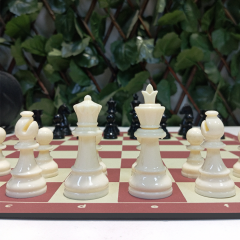 Satranç Eğitim Takımı (64mm - 200gr)