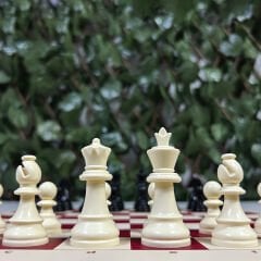 Profesyonel Satranç Taşları (64mm)