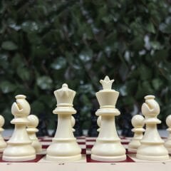 Profesyonel Satranç Taşları (72mm)