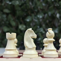 Profesyonel Satranç Taşları (72mm)