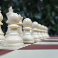 Profesyonel Satranç Taşları (85mm - Çift Vezirli)