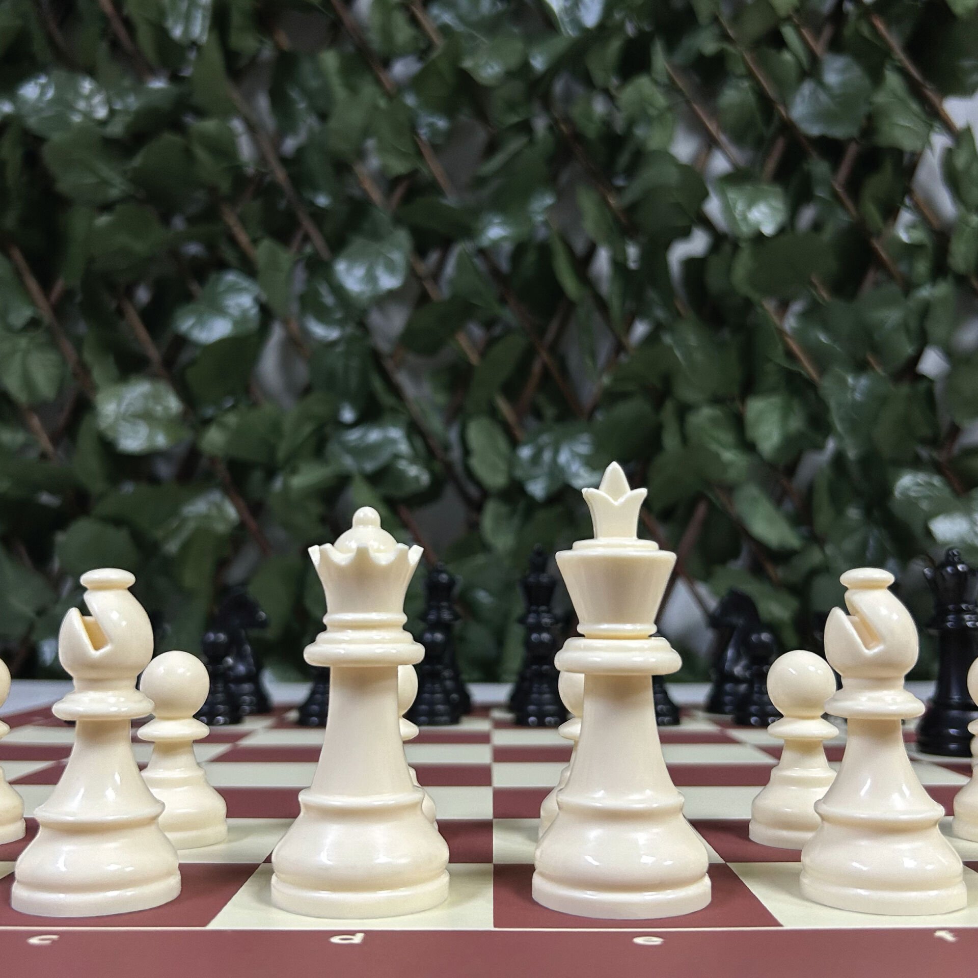 Profesyonel Satranç Taşları (85mm - Çift Vezirli)