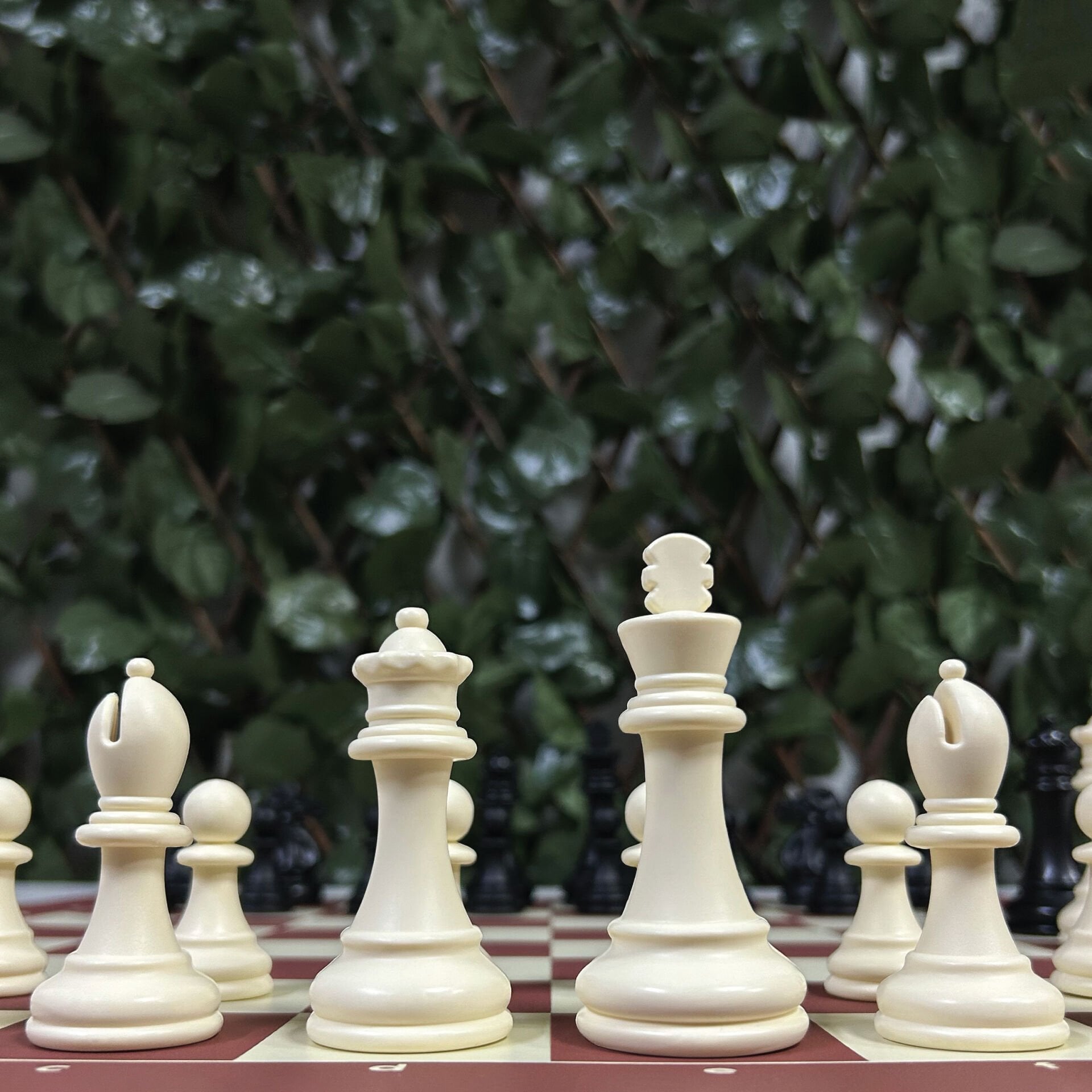 Profesyonel Satranç Taşları (92mm - Çift Vezirli)