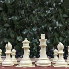Profesyonel Satranç Taşları (92mm - Çift Vezirli)